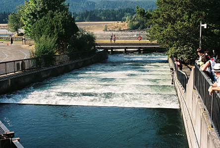 [This looks like a series of wide steps with a full stream of water running down it. There is a fence and a viewing platform to the right and there are people leaning on the railing looking at the water.]